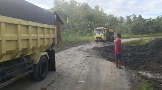Dishut Upaya Preventif Cegah Peredaran Kayu Ilegal dari Papua Barat ke Papua Tengah