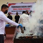 Polda Papua Barat Daya Musnahkan 8,2 Kg Ganja, Tegaskan Komitmen Perang Lawan Narkotika