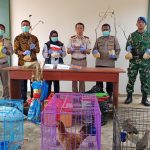 Penyelundupan Masih Marak, BKHIT Papua Barat Daya Musnahkan Komoditas Tanpa Izin