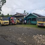Puluhan Kubik Kayu Merbau Tanpa Dokumen Diamankan di Pos Kehutanan KM 24 Sorong