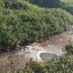 Warga Keluhkan Bau Menyengat dari Pabrik Tahu di Aimas, Diduga Cemari Aliran Sungai