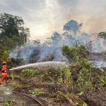 Yonif TP 806/SI Gerak Cepat Padamkan Karhutla