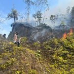Polres Tambrauw Berjibaku Padamkan Karhutla