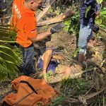 Tragis! Pria 57 Tahun Tewas Terjatuh dari Pohon Kelapa