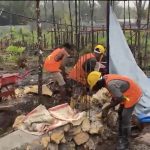 KNMP Wamargege Didorong Perkuat Ekonomi Nelayan dan Potensi Udang Banana Sorong Selatan